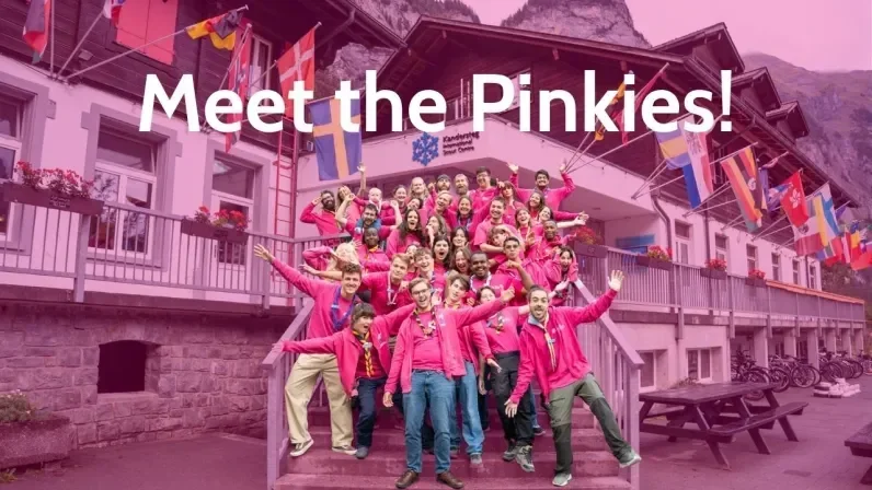 Meet the pinkies banner